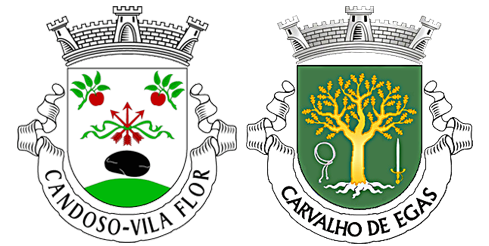 my.fcandoso-cegas.pt